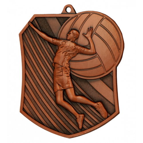 Medal brąz - siatkówka - medal stalowy