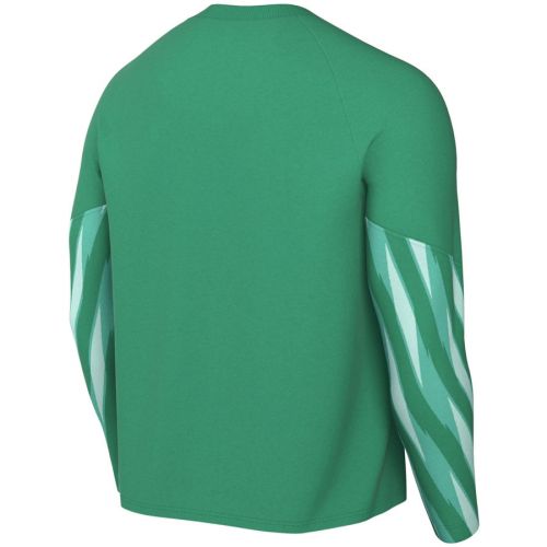 Koszulka Nike Park V Goalkeeper HV8314-324