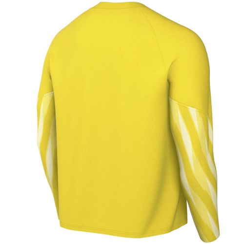 Koszulka Nike Park V Goalkeeper HV8314-718