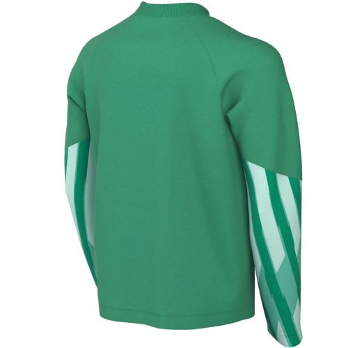 Koszulka Nike Park V Goalkeeper Jr HV8318-324