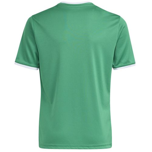 Koszulka adidas Entrada 26 JSY JZ2528