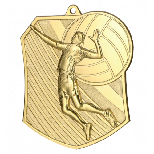 Medal złoty - siatkówka - medal stalowy