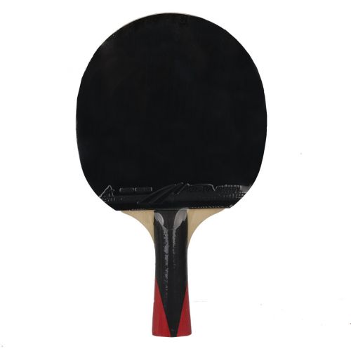 Rakietka do p-ponga Aurora PRO 4* SG 4002