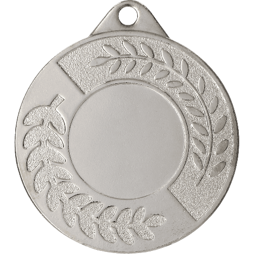 Medal śrebrny ogólny z miejscem na emblemat