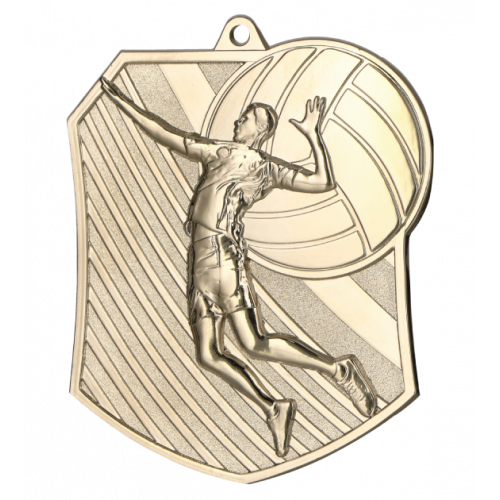 Medal srebrny - siatkówka - medal stalowy
