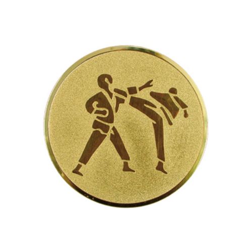 Wklejka aluminiowa - karate
