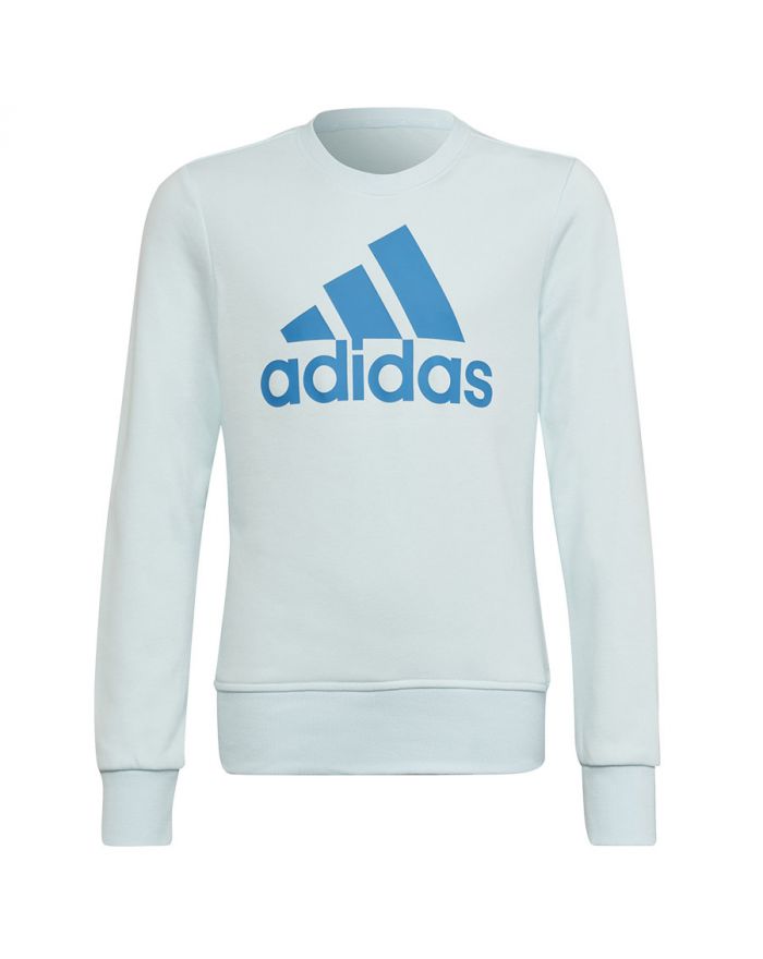 Bluza adidas Big Logo SWT HM8707