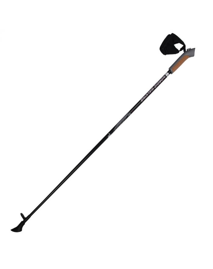 Kije Nordic Walking Titanium