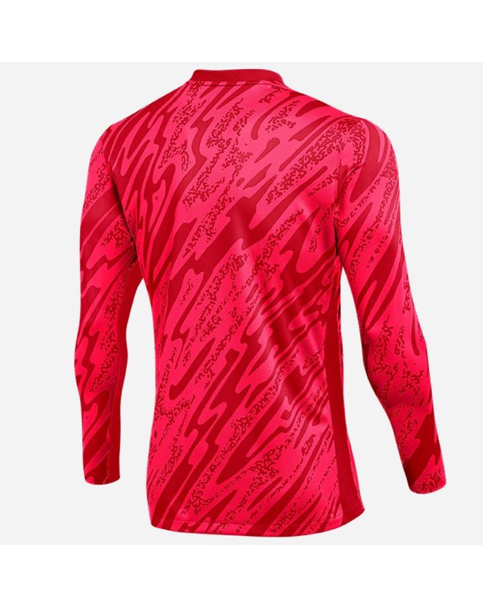 Bluza Nike Gardien V Goalkeeper DF V FD7474-644