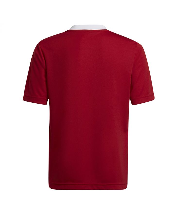 Koszulka adidas ENTRADA 22 JSY Y H57496