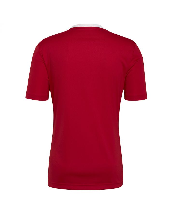 Koszulka adidas ENTRADA 22 JSY H61736