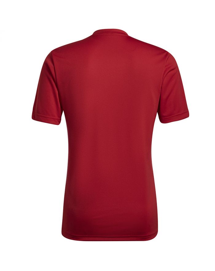 Koszulka adidas ENTRADA 22 GFX JSY HB0572