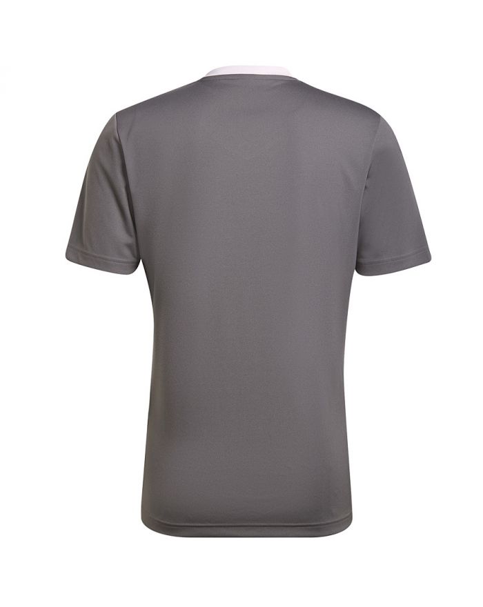 Koszulka adidas ENTRADA 22 JSY Y HE1574