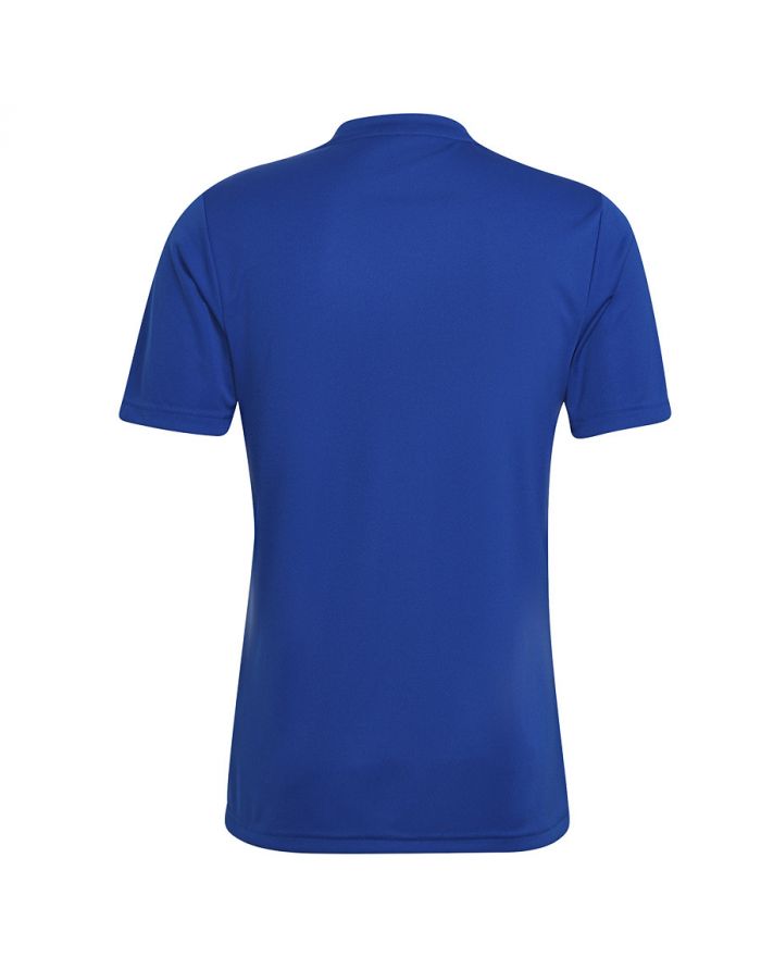 Koszulka adidas ENTRADA 22 GFX JSY HF0116
