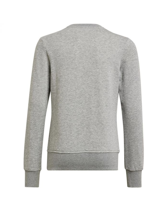 Bluza adidas Big Logo SWT HM8706