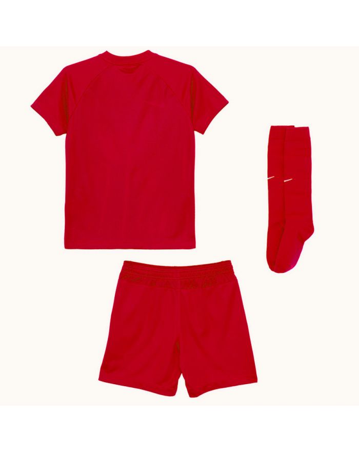 Komplet Nike Park VIII HV8260-657