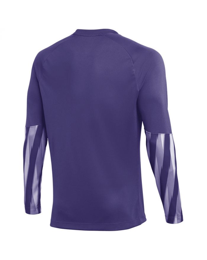 Koszulka Nike Park V Goalkeeper V HV8314-507