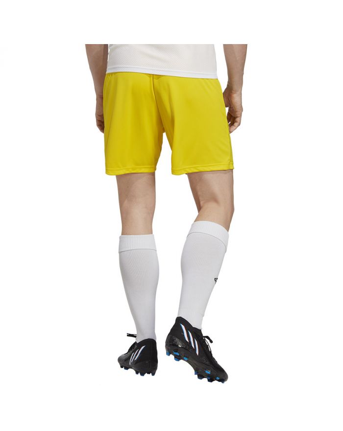 Spodenki adidas ENTRADA 22 Short IC7404