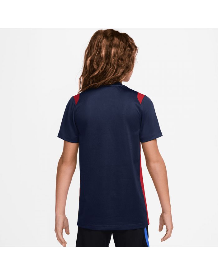 Koszulka Nike PSG Academy Pro Junior II1664-410