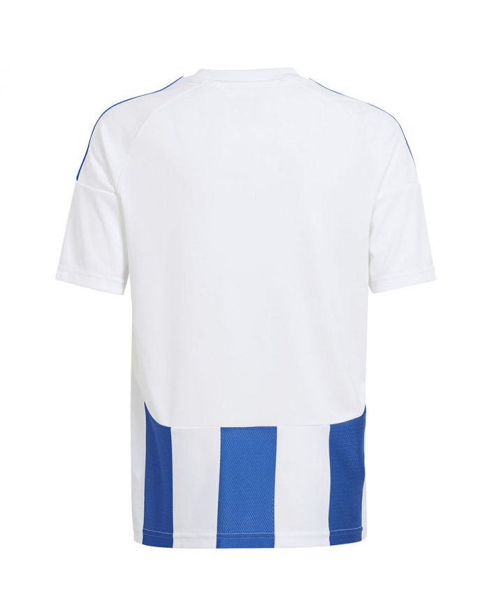 Koszulka adidas STRIPED 24 JSY IW2134