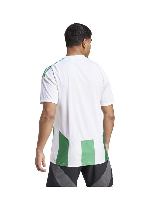 Koszulka adidas STRIPED 24 JSY IW2148