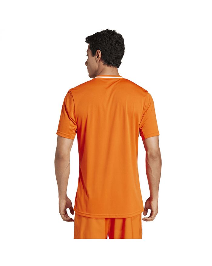 Koszulka adidas Campeon 25 JSY JF6066