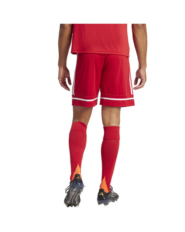 Spodenki adidas SQUADRA 25 Short JN5466