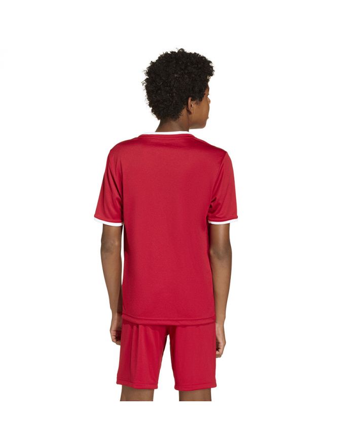 Koszulka adidas Entrada 26 JSY JZ2523