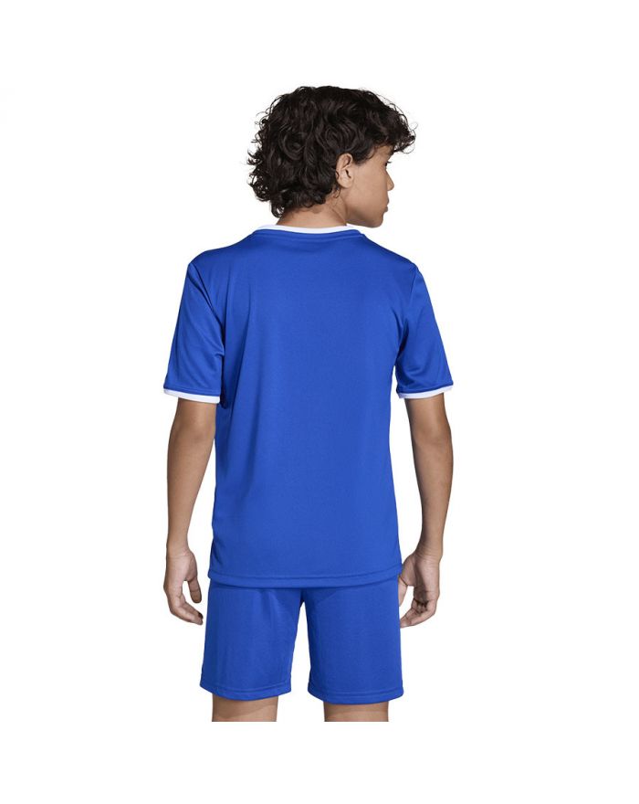 Koszulka adidas Entrada 26 JSY JZ2531