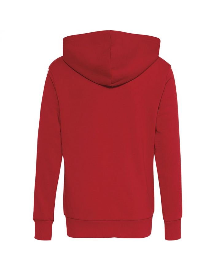 Bluza adidas FC Bayern Hoodie Kids KG2566
