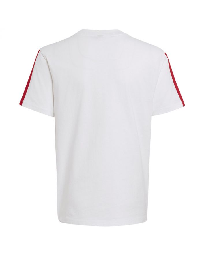 Koszulka adidas FC Bayern DNA Tee Junior KG2591