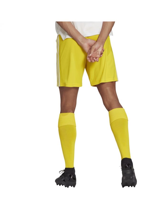 Spodenki adidas SQUADRA 21 Short GN5772