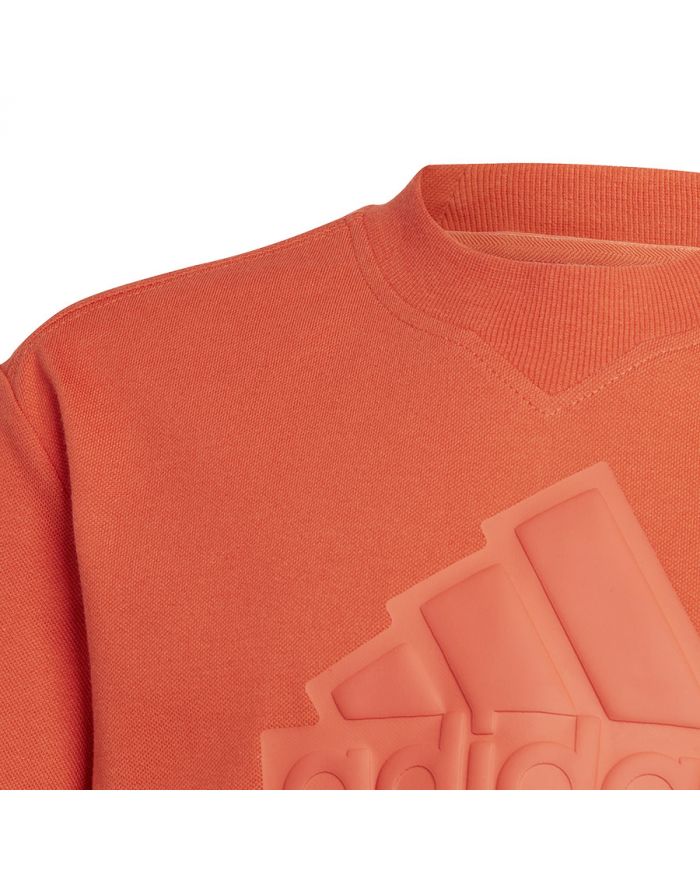 Koszulka adidas FI Logo Tee Jr HR6296