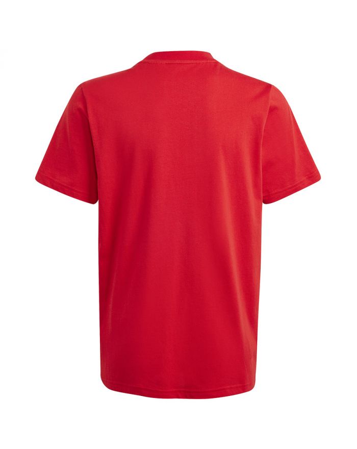 Koszulka adidas Big Logo Tee Jr IJ6262