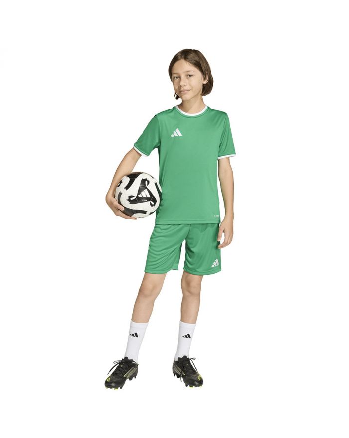 Spodenki adidas ENTRADA 26 Short Junior JZ6530