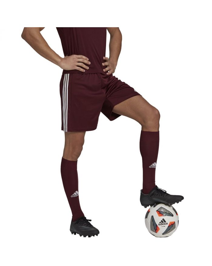Spodenki adidas SQUADRA 21 Short GN8083