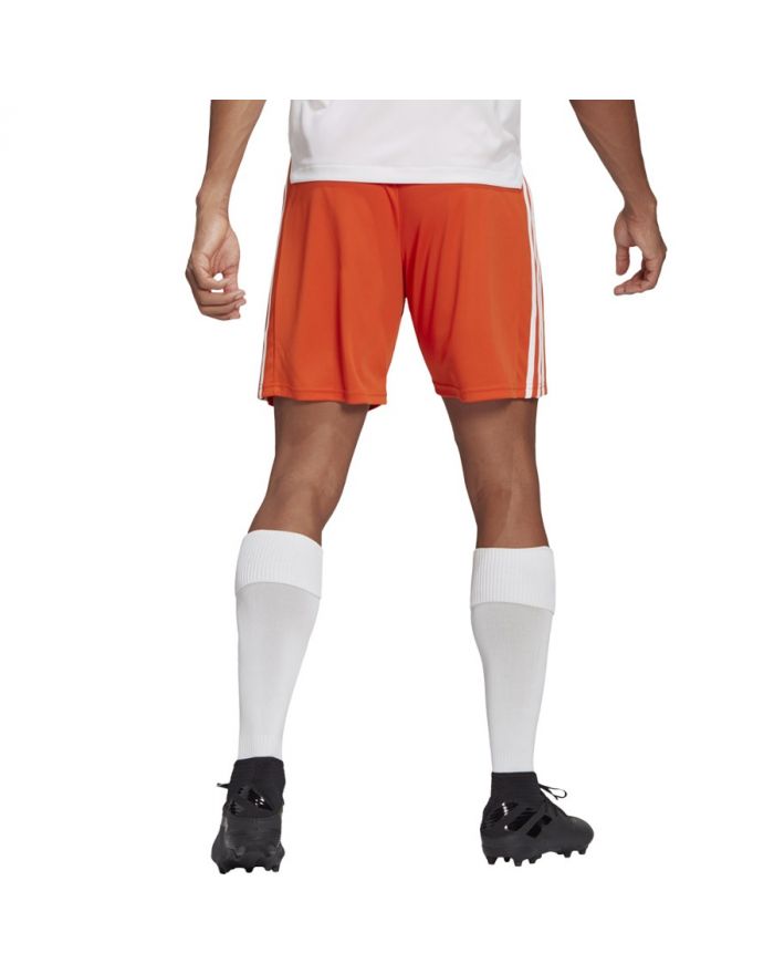 Spodenki adidas SQUADRA 21 Short GN8084