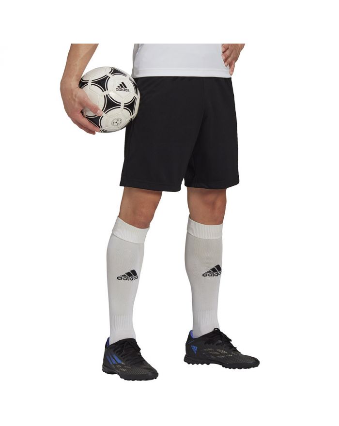 Spodenki adidas ENTRADA 22 Training Short  HB0575