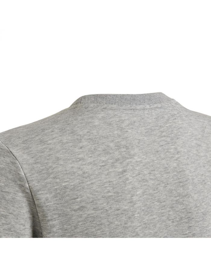 Bluza adidas Big Logo SWT HM8706