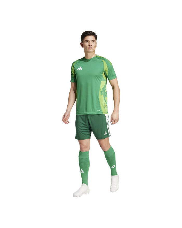 Spodenki adidas TIRO 24 IS1410