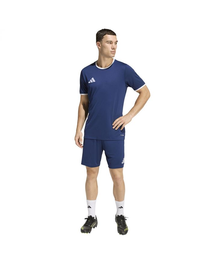 Spodenki adidas ENTRADA 26 Short JZ2513