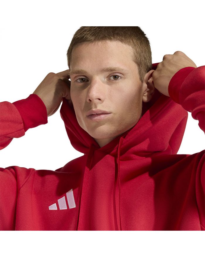 Bluza adidas ENTRADA 26 Hoody JZ6576