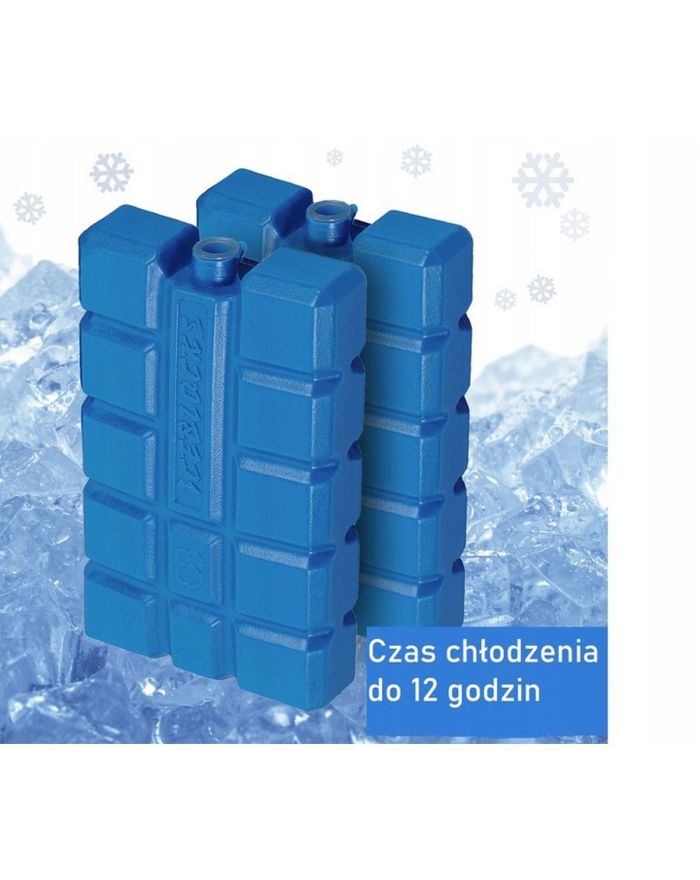 WKŁAD DO LODÓWKI 2X200GR