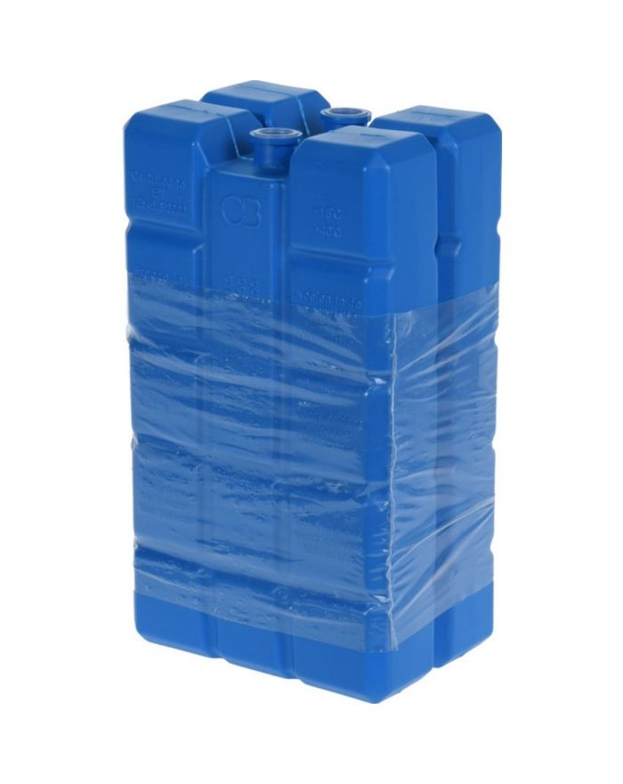 WKŁAD DO LODÓWKI 2X400GR