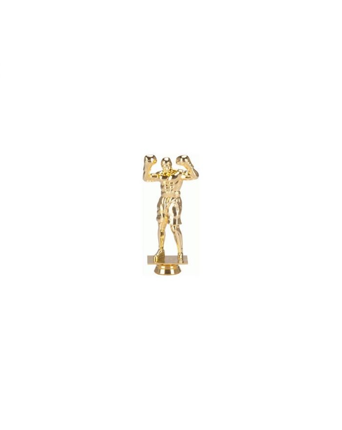 Figurka plastikowa boks  F248/G
