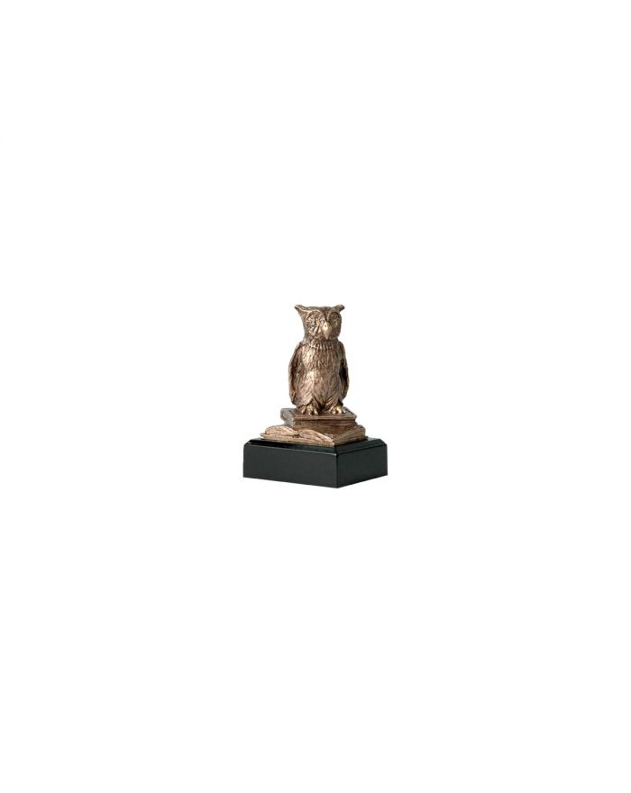 Figurka odlewana szkoła - sowa - nauka  RTY630/BR