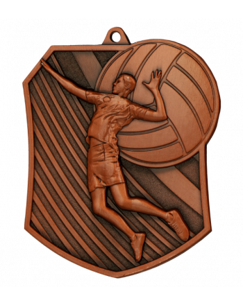 Medal brąz - siatkówka - medal stalowy