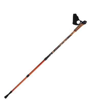 Kije trekkingowe
