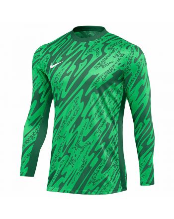 Bluza Nike Gardien V Goalkeeper DF V FD7474-329