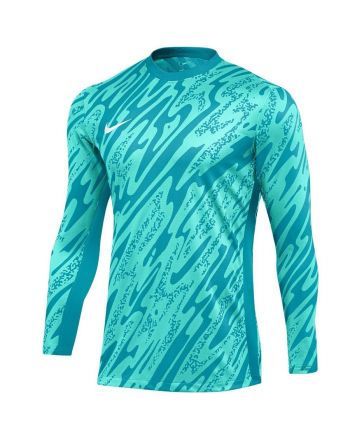 Bluza Nike Gardien V Goalkeeper DF V FD7474-354